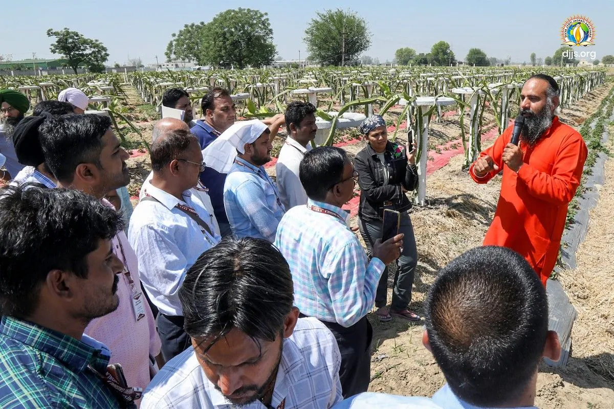 Participants of a desi gaupalan training camp visiting the fields at Nurmahal in 2024